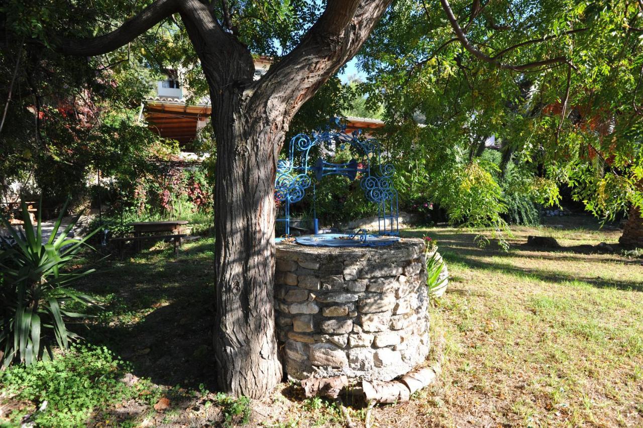 Villa Theodora View Apartments Zeys Agios Georgios Pagon Esterno foto